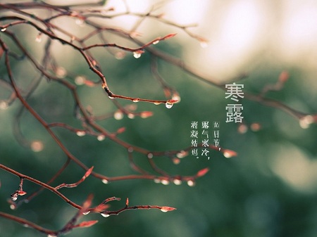 &#20061;&#24030;&#32593;&#39029;&#29256;&#45;&#20061;&#24030;&#40;&#20013;&#22269;&#41;&#45;&#20061;&#24030;&#40;&#20013;&#22269;&#41;
