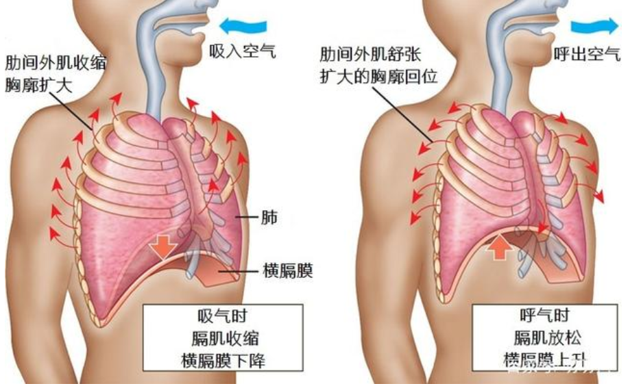 &#20061;&#24030;&#32593;&#39029;&#29256;&#45;&#20061;&#24030;&#40;&#20013;&#22269;&#41;&#45;&#20061;&#24030;&#40;&#20013;&#22269;&#41;