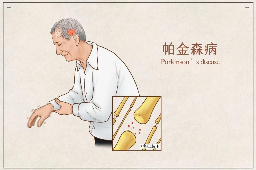 &#20061;&#24030;&#32593;&#39029;&#29256;&#45;&#20061;&#24030;&#40;&#20013;&#22269;&#41;&#45;&#20061;&#24030;&#40;&#20013;&#22269;&#41;