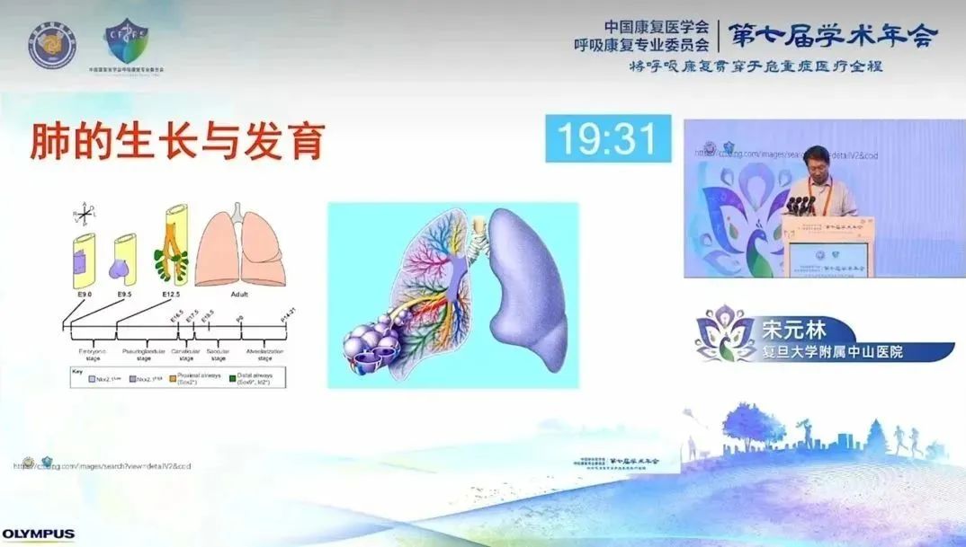 &#20061;&#24030;&#32593;&#39029;&#29256;&#45;&#20061;&#24030;&#40;&#20013;&#22269;&#41;&#45;&#20061;&#24030;&#40;&#20013;&#22269;&#41;